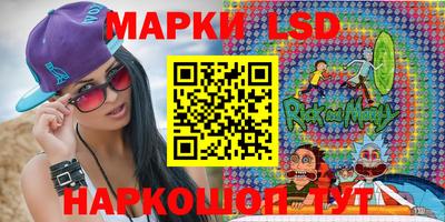 хмурый Сланцы