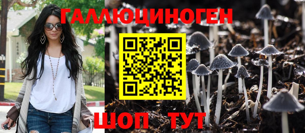 Новокубанск  Псилоцибиновые грибы MAGIC MUSHROOMS  Вход с VPN 